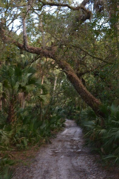 More Photos Of 3893 NW 50th Drive, Okeechobee Land For Sale