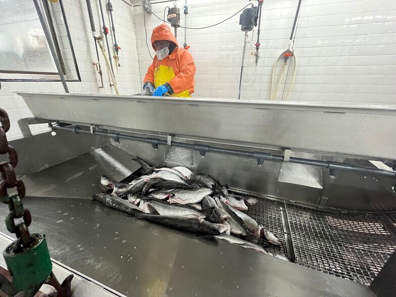 More Photos Of 24 W Bellflower St, Boston Food Processing For Sale