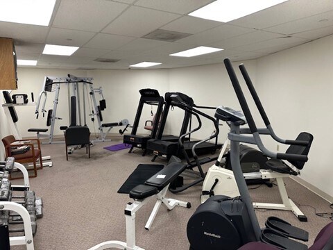 More Photos Of 225 Old Country Rd, Melville Office For Lease