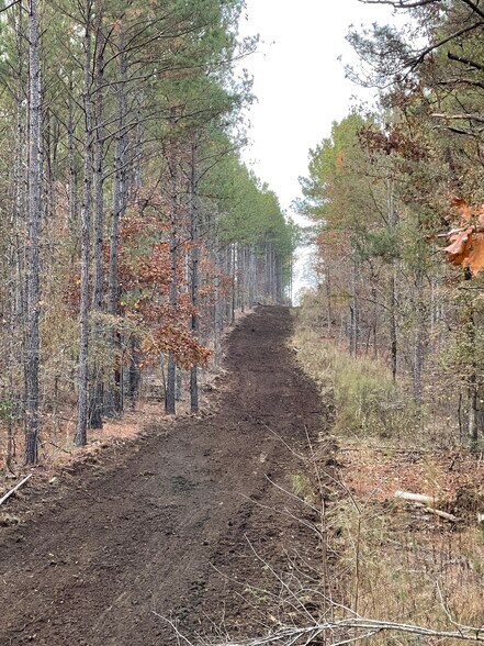 More Photos Of 92 Lillian Strong rd, Carlton Land For Sale