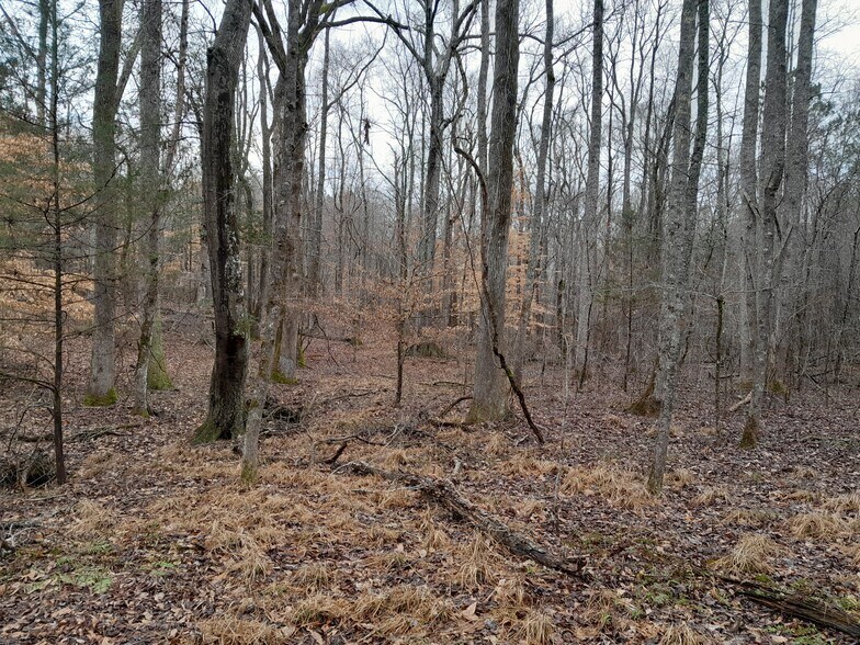 More Photos Of Lester Mill @ Frog RD, Locust Grove Land For Sale