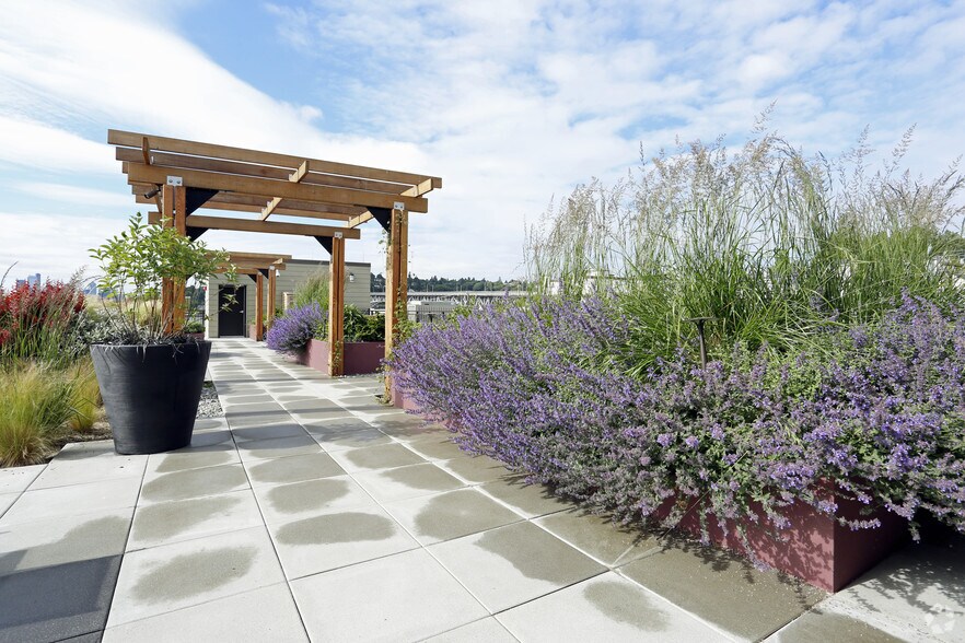 More Photos Of 3636 Stone Way N, Seattle Apartments For Lease