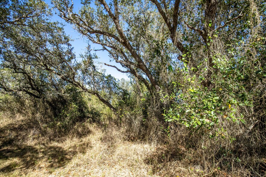 More Photos Of 6498 Highway 35 North, Rockport Land For Sale