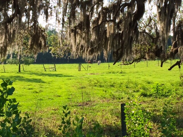 More Photos Of 4300 Kathleen Rd, Lakeland Land For Sale