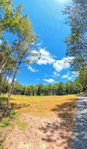 More Photos Of 202 Salem Church Miller Rd, Gray Land For Sale