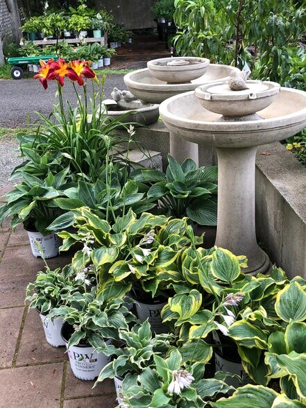 More Photos Of 48 South, Blue Hill Garden Center For Sale