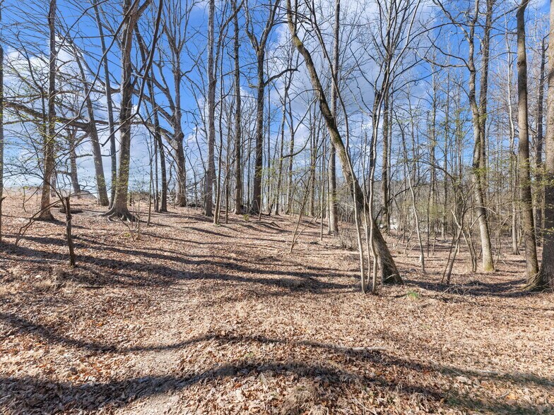More Photos Of 5555 McEver Rd, Flowery Branch Land For Sale
