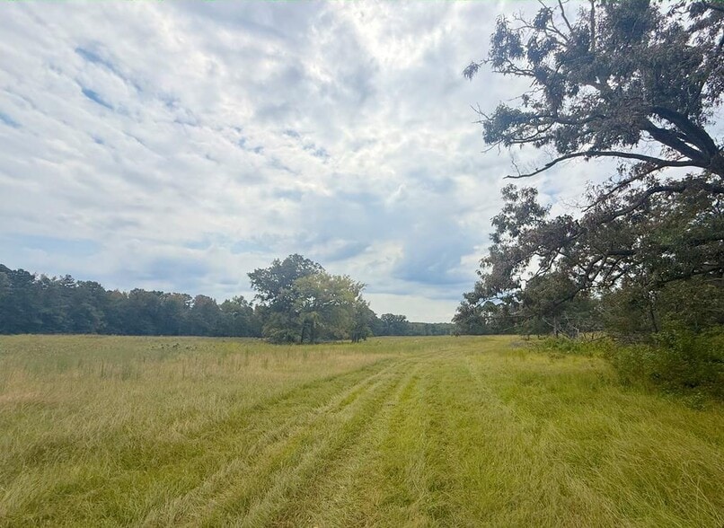 More Photos Of 715 SC-246, Greenwood Land For Sale