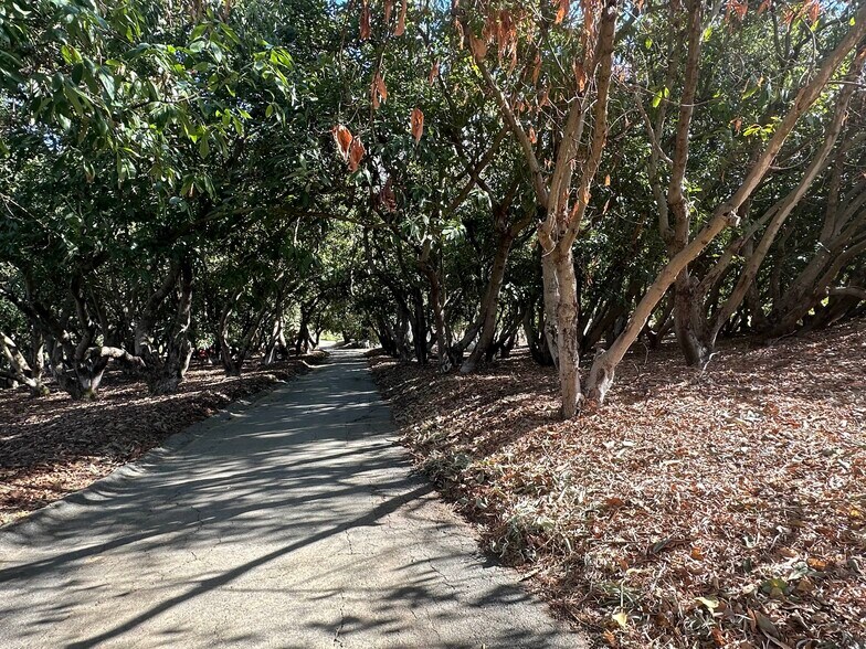 More Photos Of 44605 Via Vaquero, Temecula Land For Sale