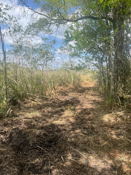 More Photos Of 0 Camellia, Crystal River Land For Sale