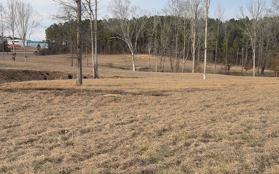 More Photos Of 3583 45th Street, SW, Lanett Land For Sale