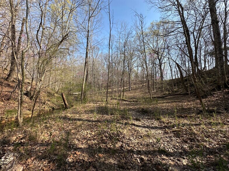 More Photos Of 7312 Highway 60, Georgetown Land For Sale