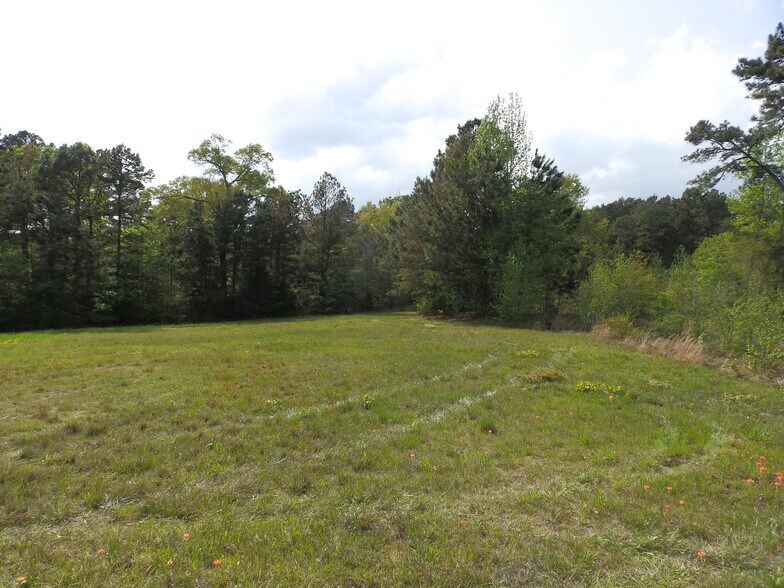 More Photos Of 19522 HWY 155, Flint Land For Sale