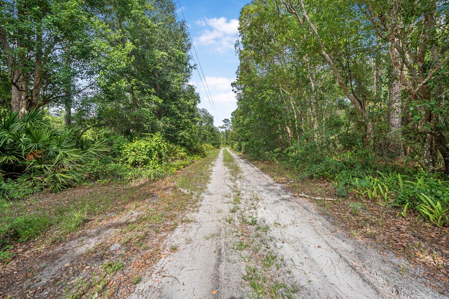 More Photos Of N US Hwy 17, Pierson Land For Sale