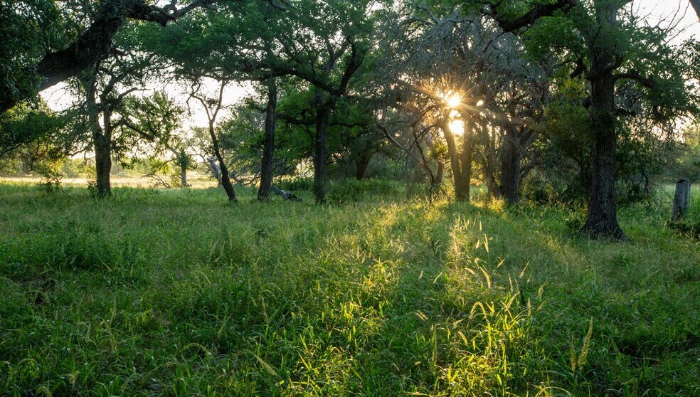 More Photos Of half-Diamond 'D' Ranch, Killeen Land For Sale