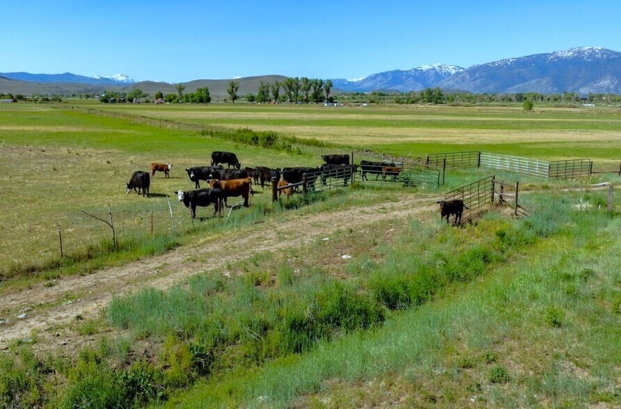 More Photos Of 000 Pinenut rd, Gardnerville Land For Sale