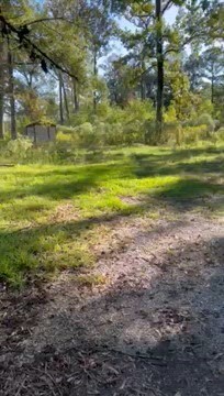 Primary Photo Of 29960 Henderson Ln, Walker Land For Sale