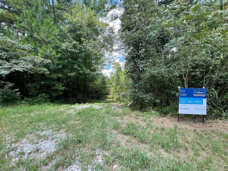 More Photos Of 23034 Highway 25, Columbiana Land For Sale