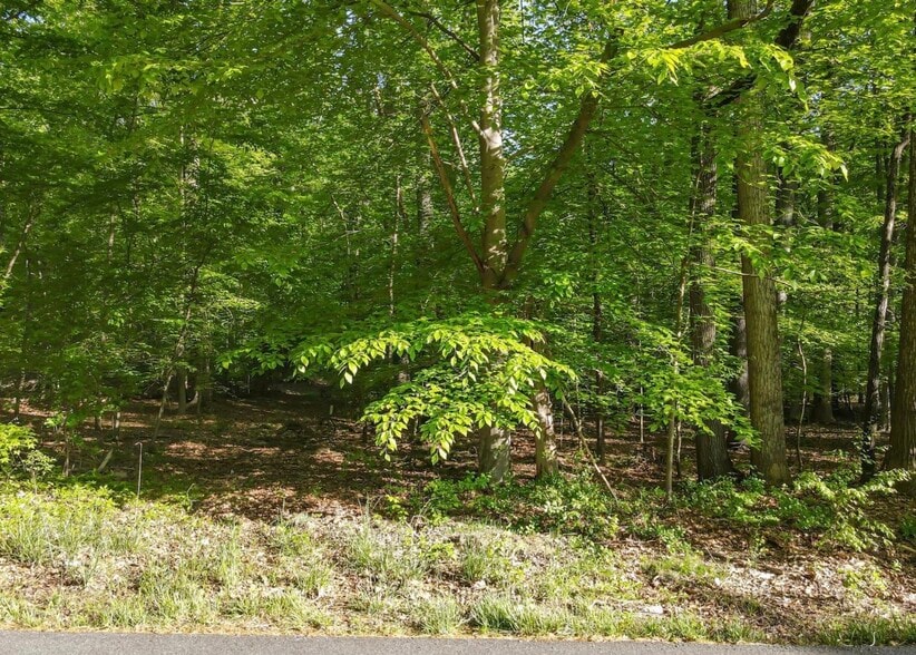 More Photos Of 13314 Forest Dr, Bowie Land For Sale