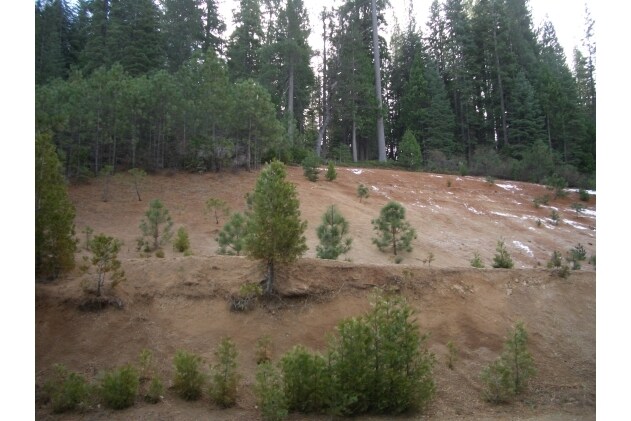 More Photos Of 1359 Highway 4, Arnold Land For Sale