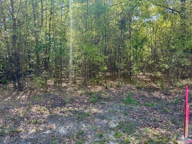 More Photos Of 000 Tanglewood Trail, Georgetown Land For Sale