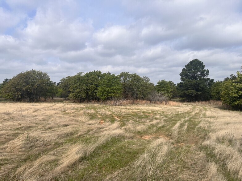More Photos Of 2548 County Road 2690, Alvord Land For Sale