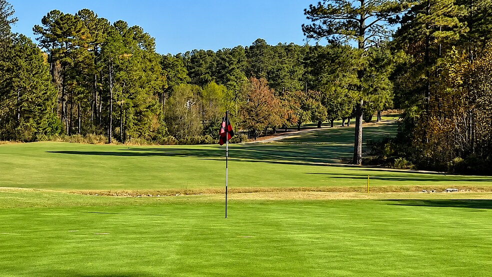 More Photos Of 30000 Deercroft Dr, Wagram Golf Course Driving Range For Sale