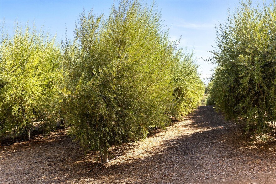 More Photos Of 2985 Templeton Rd, Templeton Winery Vineyard For Sale