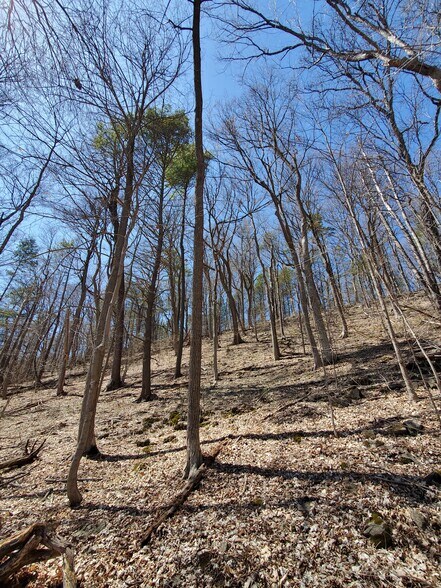 More Photos Of Old Plank Rd, Coxsackie Land For Sale
