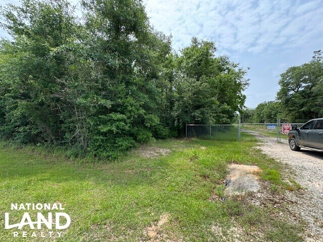 More Photos Of 0 Dead Lake Rd., Creola Land For Sale