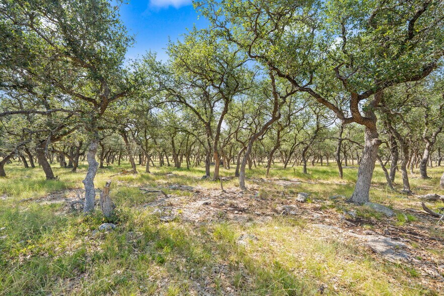 More Photos Of 443 Ammann Rd, Fair Oaks Ranch Land For Sale