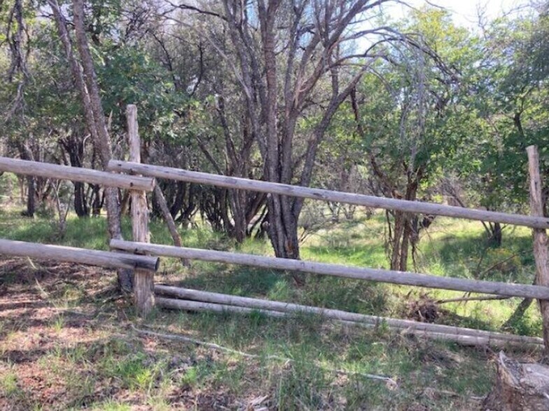 More Photos Of 200 325 S, Pine Valley Land For Sale