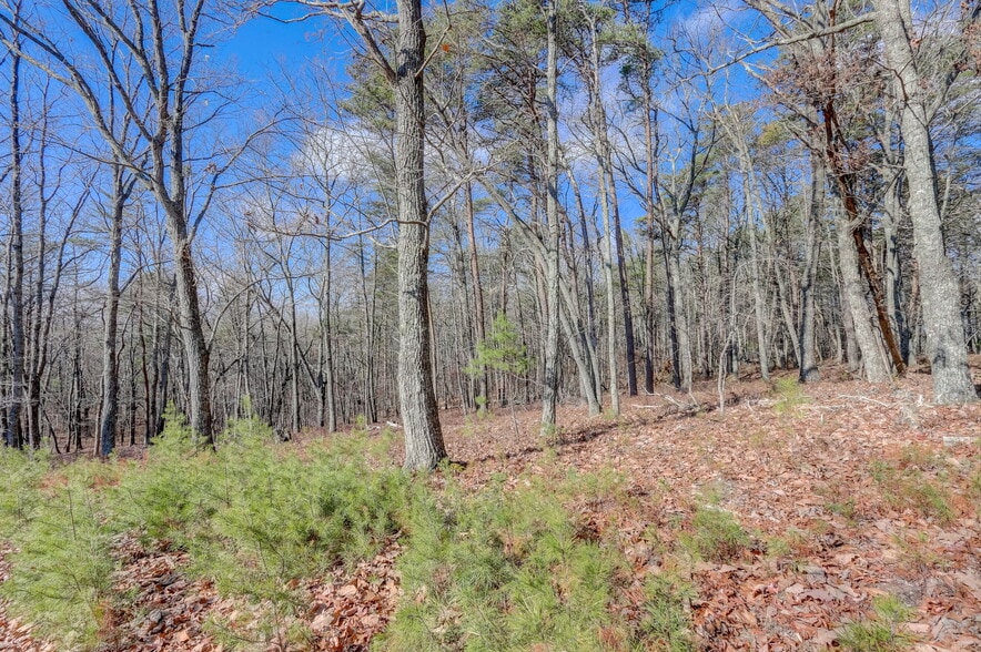 More Photos Of 1915 Tower Trl, Waleska Land For Sale