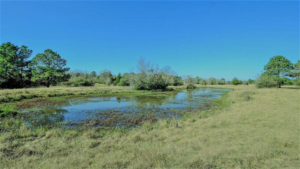 More Photos Of 26266 Fields Store Rd., Waller Land For Sale