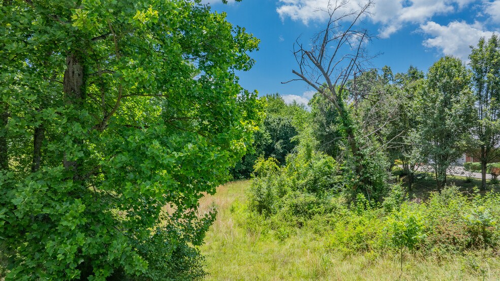 More Photos Of 199 Stuffle St, Kingsport Land For Sale