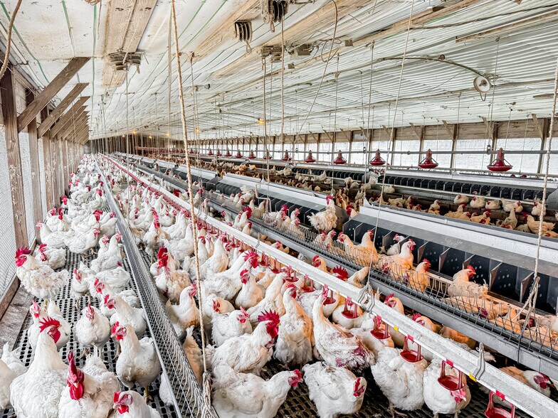 More Photos Of 1291 Myron Hart Rd, Coolidge Land For Sale