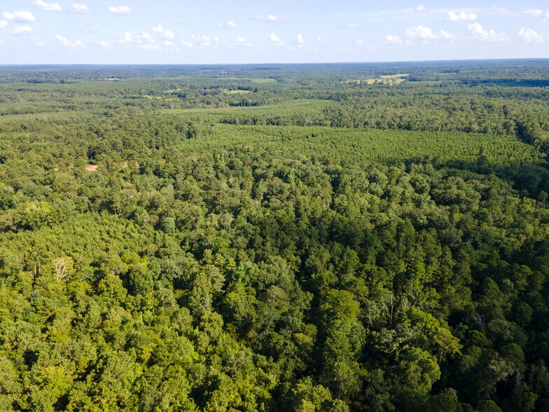 More Photos Of 2539 FM 995, Atlanta Land For Sale