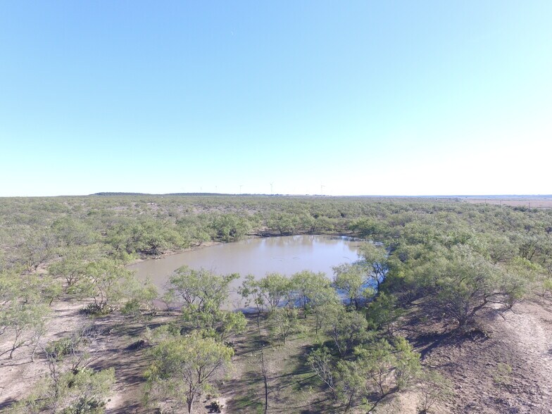 More Photos Of CR 1329, Paint Rock Land For Sale