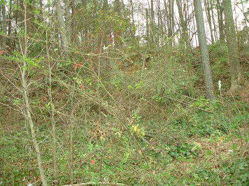 More Photos Of 1561-1565 Moreland Ave, Atlanta Land For Sale
