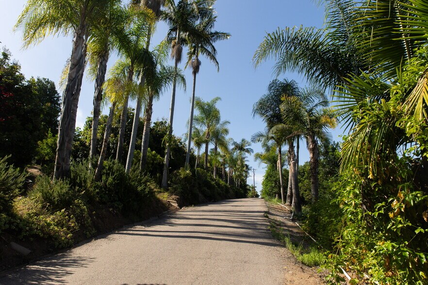 More Photos Of 3129 Reche Rd, Fallbrook Land For Sale