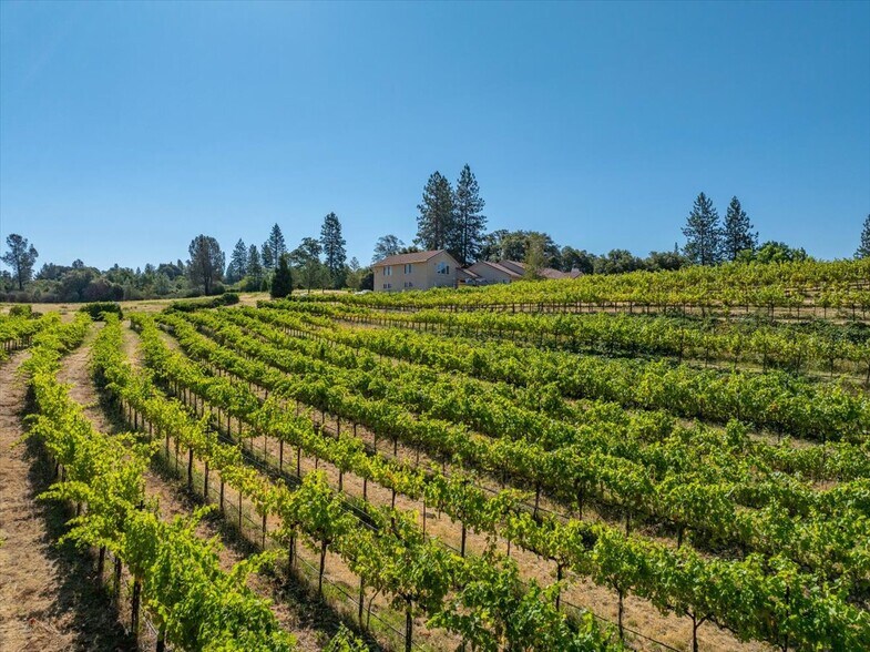 More Photos Of 31630 Forwards Rd, Manton Land For Sale