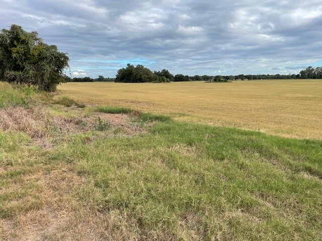 More Photos Of TBD FM 1301 and CR 127 Wharton Texas Hwy, Wharton Land For Sale