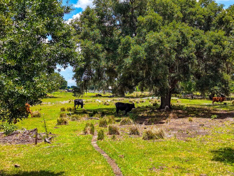 More Photos Of 3030 N Nursery Rd, Zolfo Springs Land For Sale