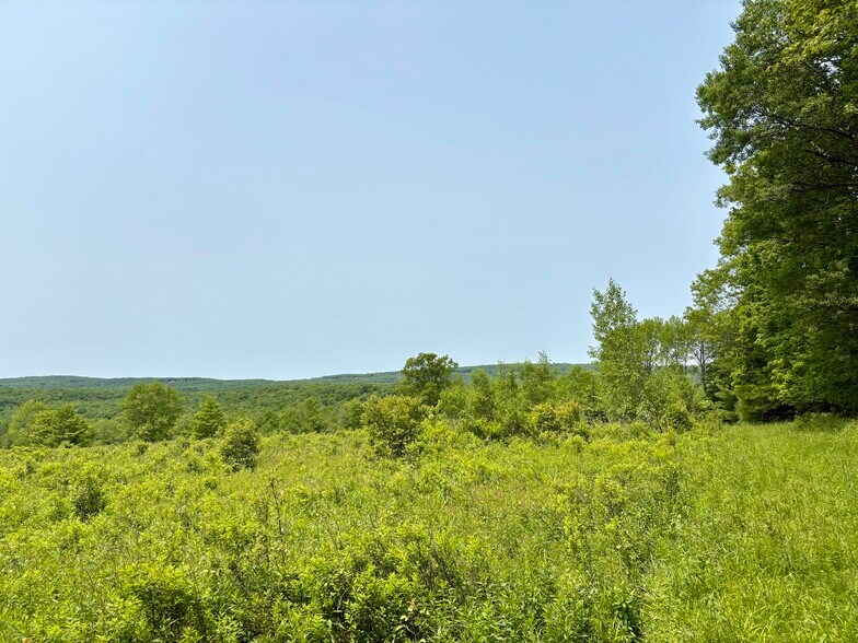 More Photos Of 263 Como Rd, Lake Como Specialty For Sale