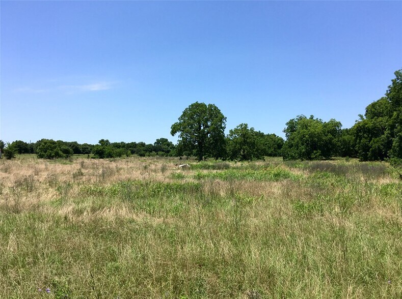 More Photos Of Hwy 290, Chappell Hill Land For Sale