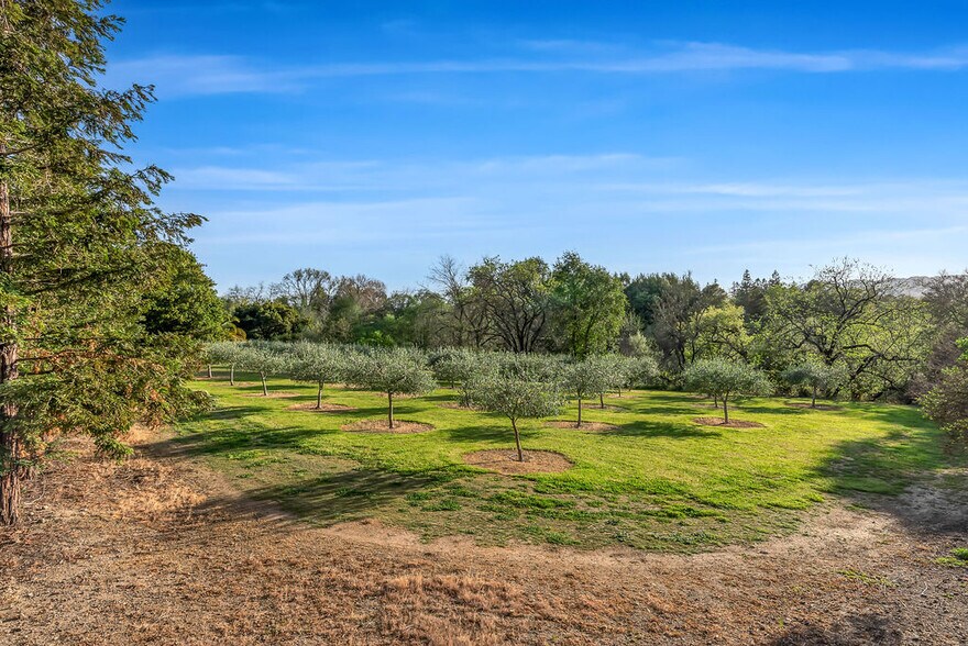 More Photos Of 19357 Sonoma Hwy, Sonoma Land For Sale
