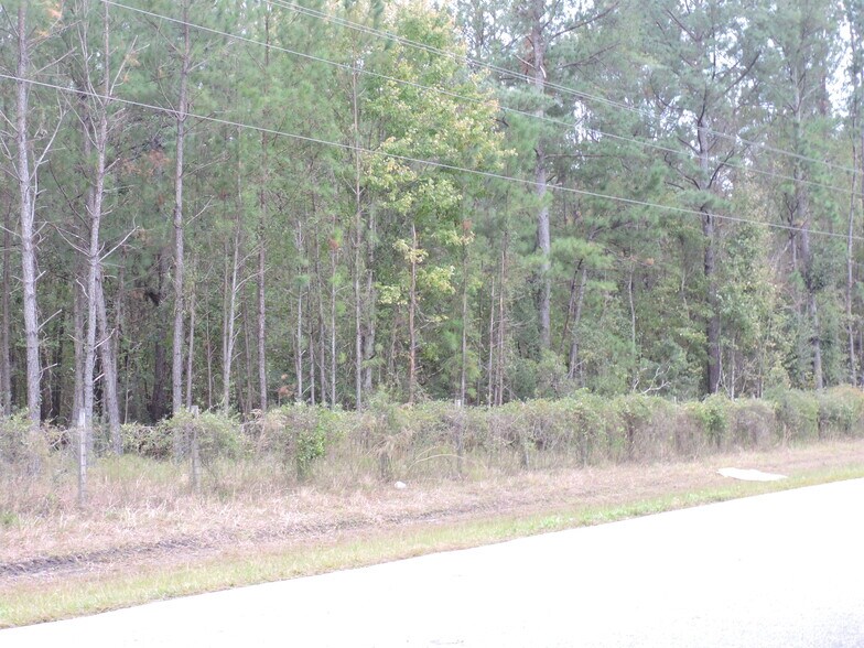 More Photos Of 3750A County Road 315A, Green Cove Springs Land For Sale