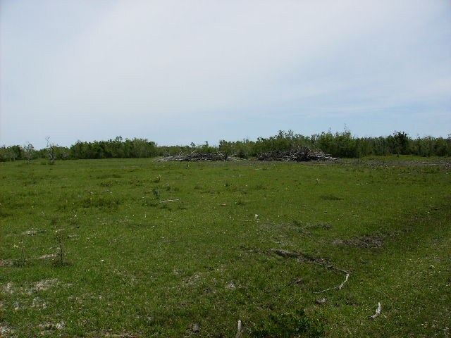 More Photos Of FM 2004 @ Avenue C, Hitchcock Land For Sale