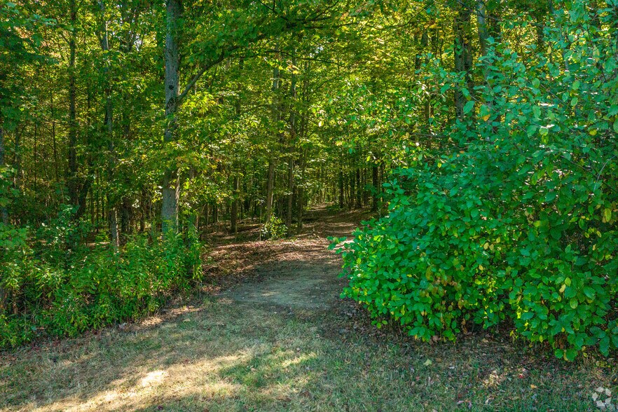 More Photos Of 6520 Mallory Rd, Marcy Land For Sale