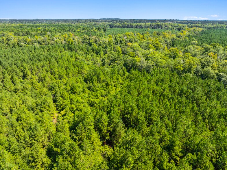 More Photos Of 7471 Highway 155, Saline Land For Sale